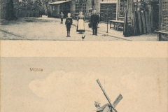 Peimann-87