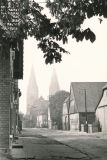 buecken-19
