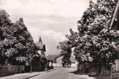 Bolte_Karl-Heinz-39