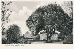 heimatverein-eystrup-101