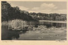 heimatverein-eystrup-61