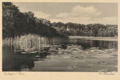 heimatverein-eystrup-61