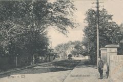 hoya-107