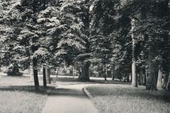 heimatverein-eystrup-168