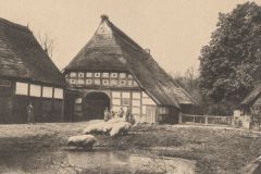 Wolters_Volker-212