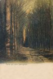 Hauptmann_Heinrich-70