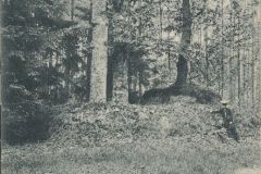 Wolters_Volker-340