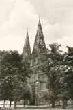 buecken-119